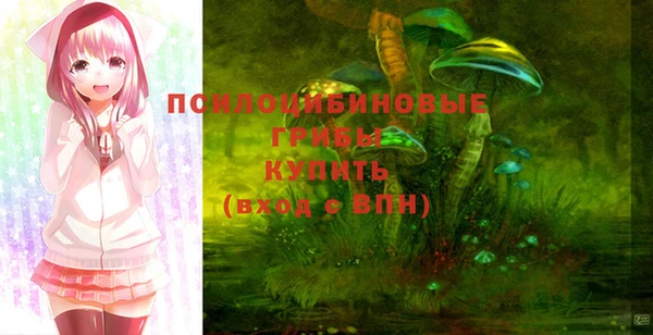 прущая мука Абаза