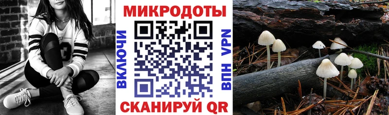 Псилоцибиновые грибы MAGIC MUSHROOMS  купить наркотик  Тайга 