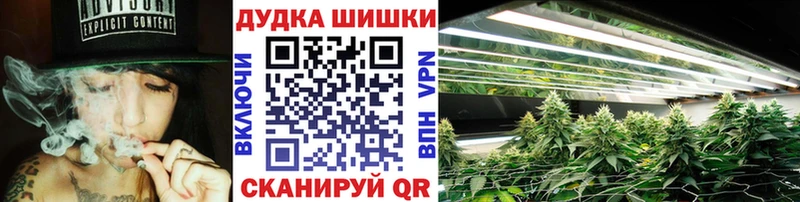Шишки марихуана гибрид  купить  сайты  Тайга 